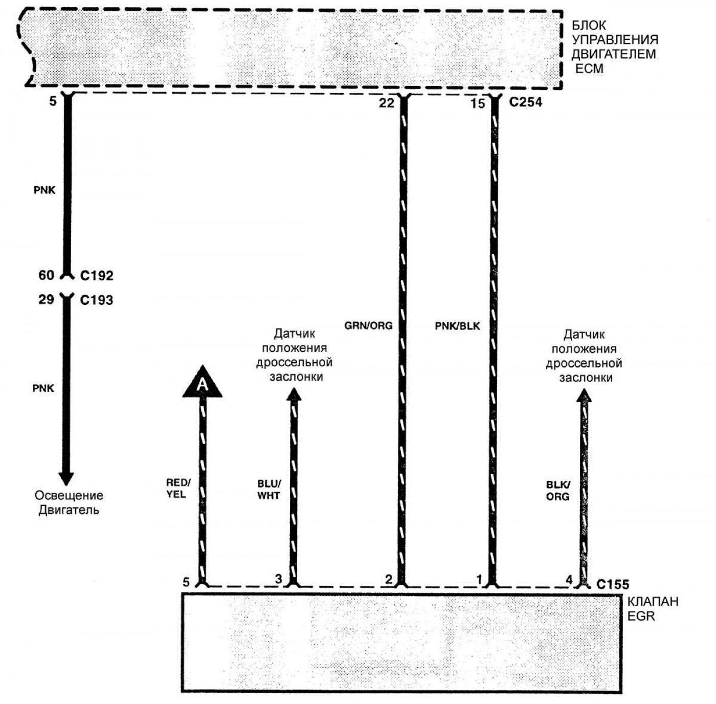 Открыть картинку в новой вкладке