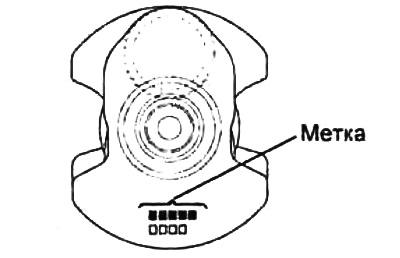 Метка размерной группы коренной шейки.