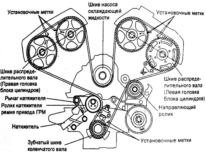 Ремень привода ГРМ - общий вид.