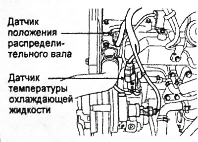 Общая информация