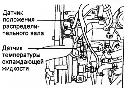 Общая информация
