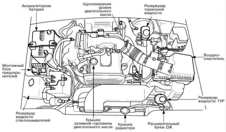 Двигательный отсек (на примере автомобиля, оборудованного бензиновым двигателем)